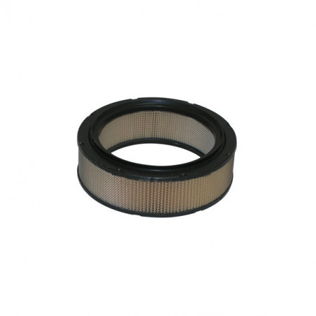 Filtro aria benelli 350-500(4 cil.) rif. miw: d610