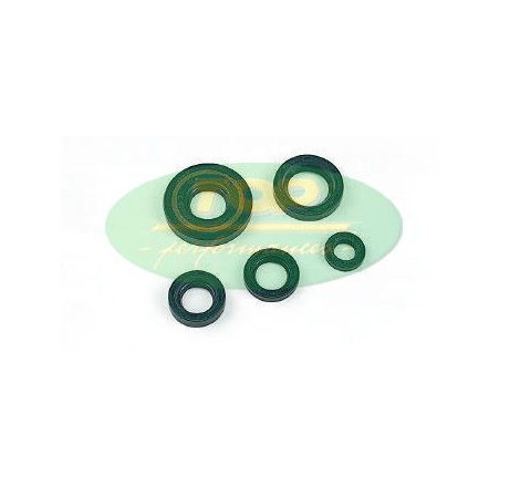 serie paraoli scooter (6...