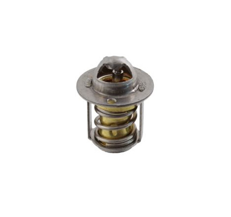 Termostato rms minarelli am6