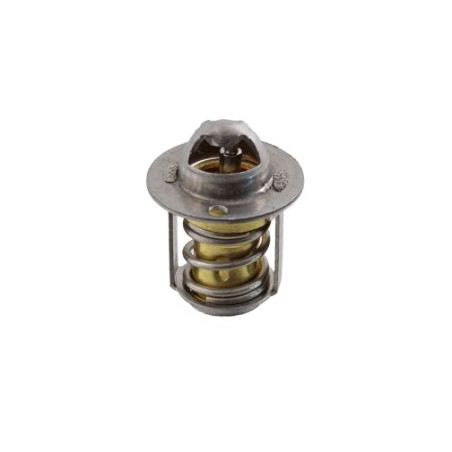 100120790_termostato minarelli am6.JPG Termostato rms minarelli am6