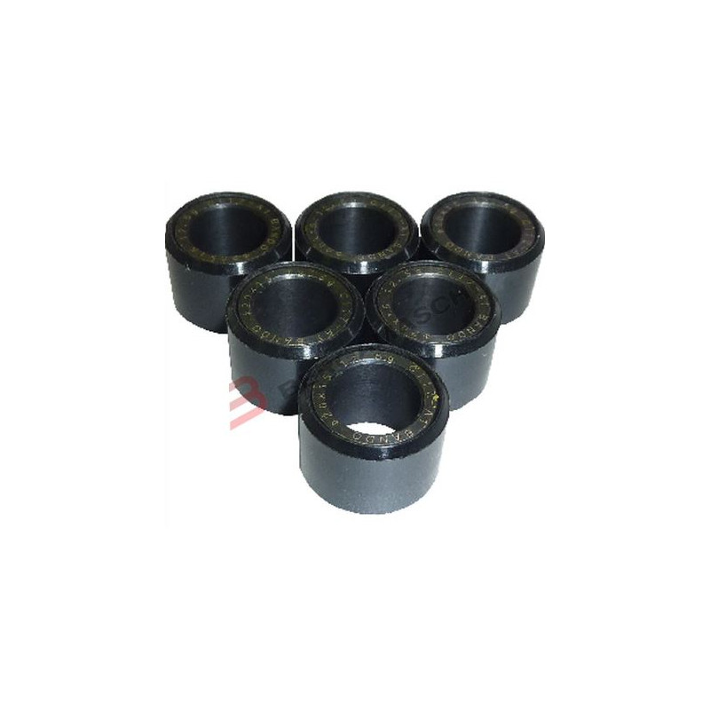 g72001501256_bando_rulli variatore.JPG Kit 6 rulli 20x15 12,5g dink/classic/classic e2 12
