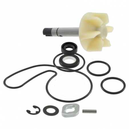 Kit revisione pompa acqua rms suzuki burgman 400cc