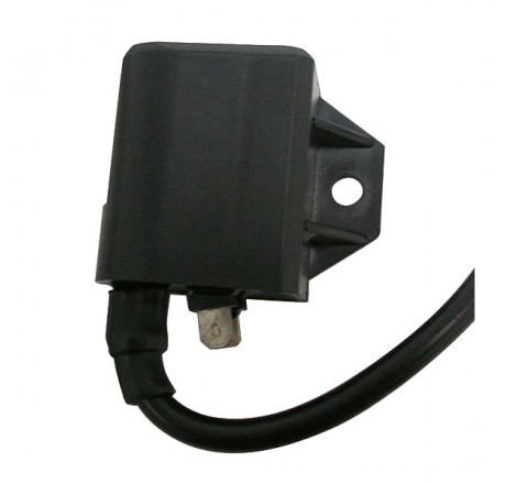 Centralina malaguti crosser - suzuki address motor