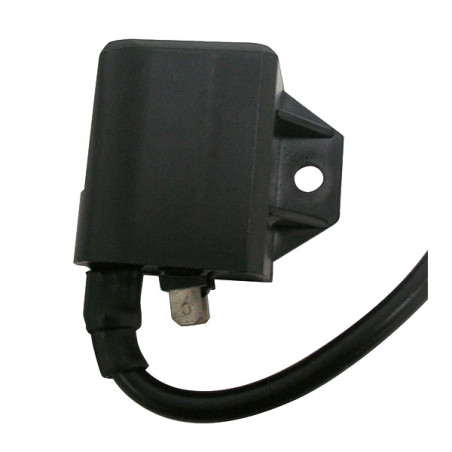 17.3404_SG1_.jpg Centralina malaguti crosser - suzuki address motor