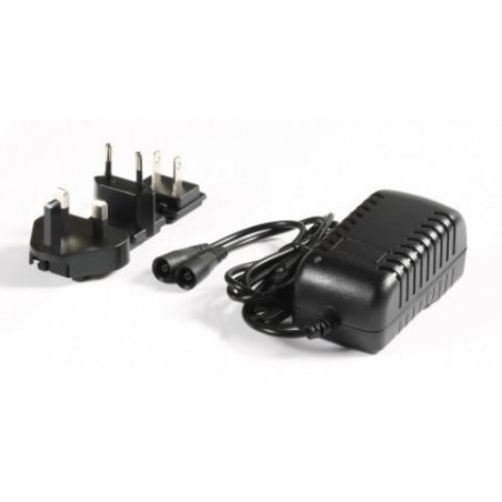 Caricabatterie per batteria da 12v,12v 2a