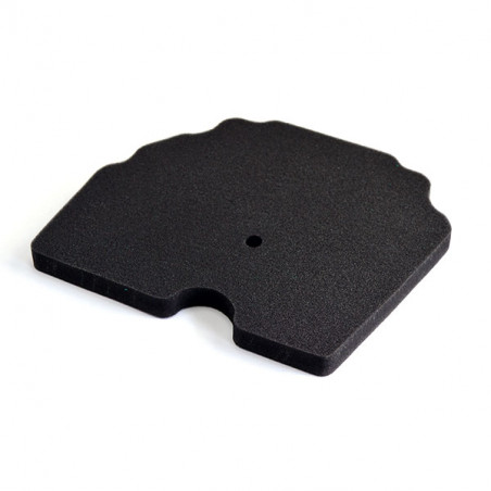 mtrdcdatiCISLAGHIESOLVERDATIIMMAGINIsgr2265145.jpg Filtro aria miw benelli trk 502 x/abs euro4