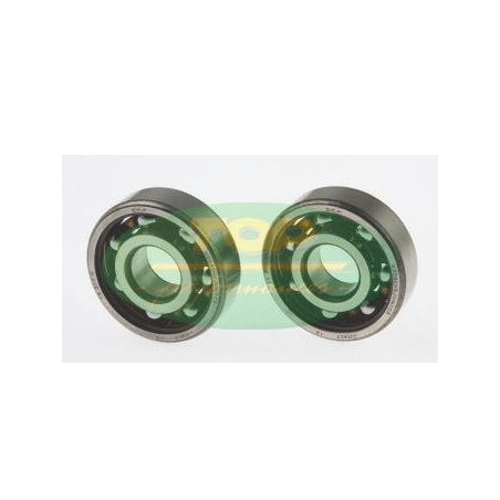 "serie cuscinetti ""tpr"" ï17xï47x14 motore am6"