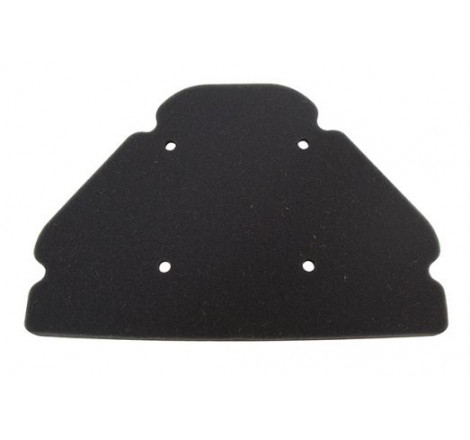 mtrdcdatiCISLAGHIESOLVERDATIIMMAGINIsgr2264819.jpg Filtro aria miw kawasaki zx-9r