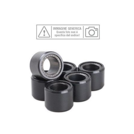 rulli-bando-sgr-generica.JPG Set massette wr250-150-170-8 - yamaha x max 400 13