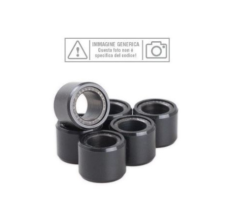 Set massette 6 pz./15,5gr....
