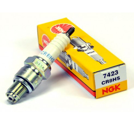 Candela ngk cr8hs stock...