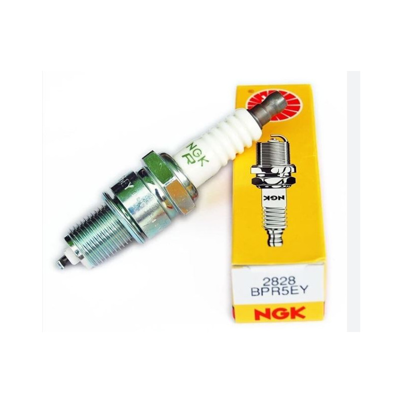 2828_BPR5EY_Ngk_candela_accensione.JPG Candela ngk bpr5ey stock nr.2828