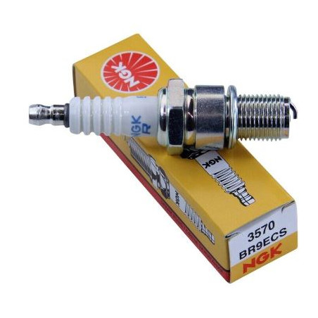 3570_BR9ECS_Ngk_candela_accensione.JPG Candela ngk br9ecs stock nr.3570