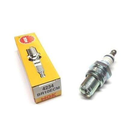 4234_BR10ECM_Ngk_candela_accensione.JPG Candela ngk br10ecm stock nr.4234