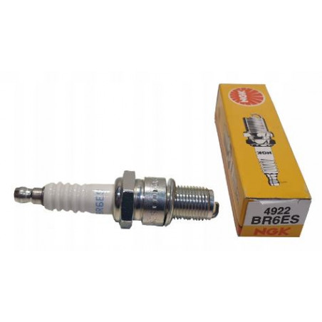 4922_BR6ES_Ngk_candela_accensione.JPG Candela ngk br6es stock nr.4922