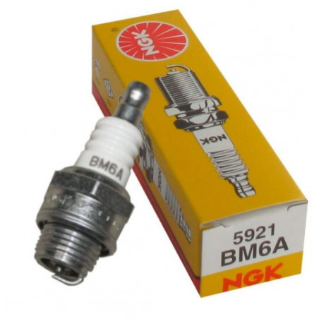 5921_BM6A_Ngk_candela_accensione.JPG Candela ngk bm6a stock nr.5921