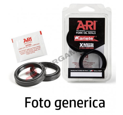 ari_generica.JPG Ari- pair of fork oil seals 38,5 x 48 x 7/8,7 tbcl