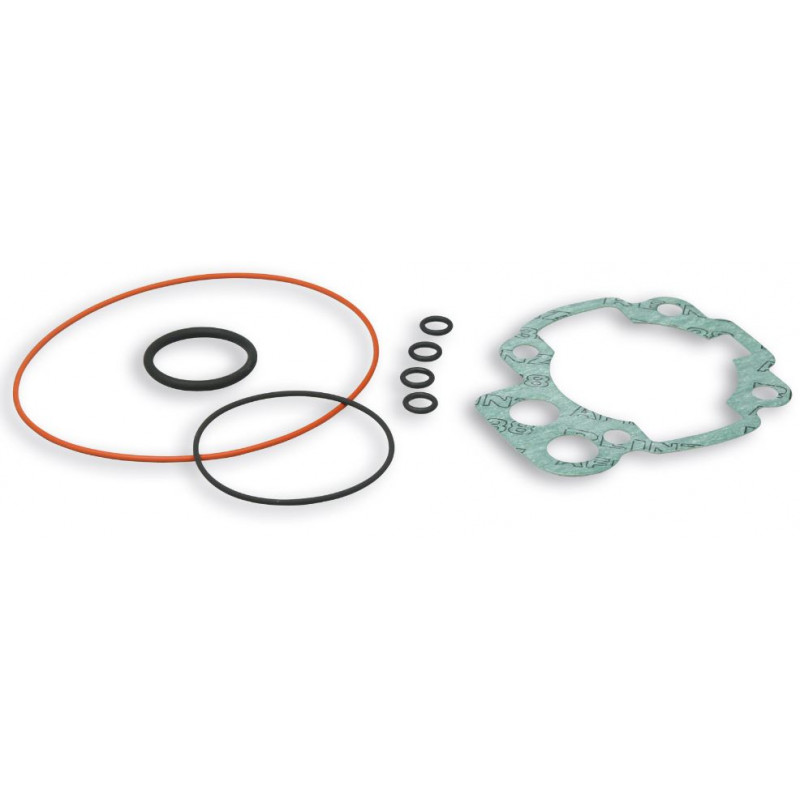 1112449_malossi.JPG Busta guarn.compl. gr.term.ï 50 (o-ring) (minarell