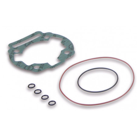 Busta guarn.compl. gr.term.ï 50 (derbi d50b0/1)