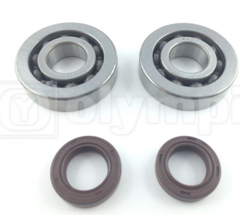 Kit revis.albero motore ( 5570