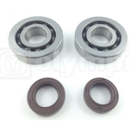 Kit revis.albero motore ( 5570