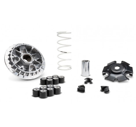 5119876-MALOSSI-variatore-Honda.JPG Multivar 2000