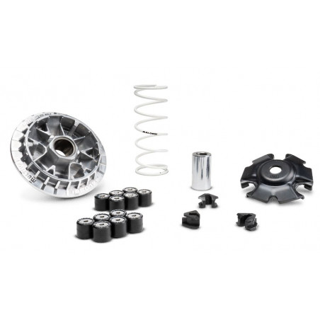 5119876-MALOSSI-variatore-Honda.JPG Multivar 2000