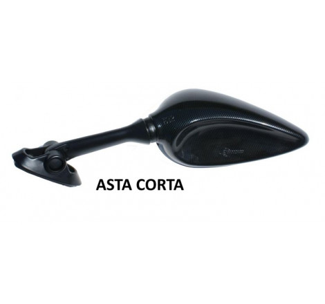 5582_FAR_Specchietto-DX-carena-_-Carbonio.jpg Specchietto DX carena | Carbonio