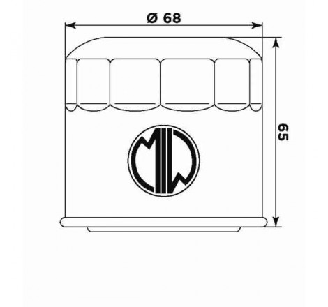 Filtro olio S3011