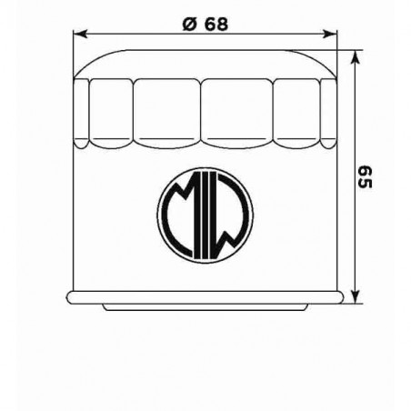 Filtro olio S3011