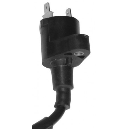 004741_sgr_bobina_scooter_50-125.JPG Bobina at esterna scooter 50/125 honda-kymco-piagg