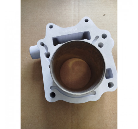 Cilindro ø 67 allum. h2o 4-stroke