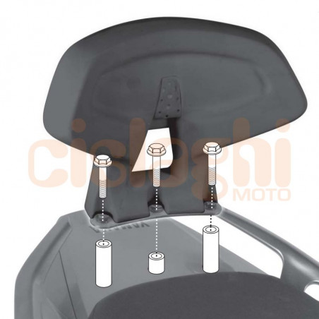 Schienalino passeggero | Yamaha TMax