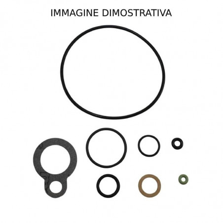 Guarnizioni carburatori PHBH