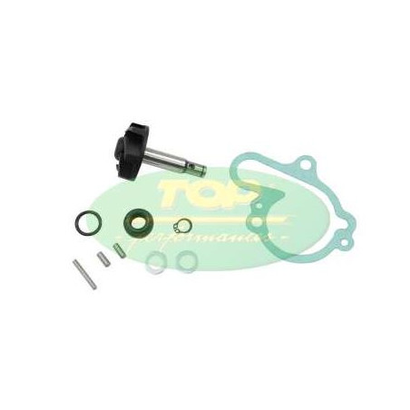 aa00789-dr-kit-riparazione-pompa-acqua-am6.JPG kit riparazione pompa acqua am6