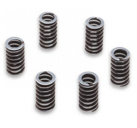 6 molle frizione per camp....