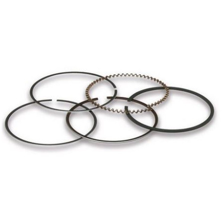 Serie segmenti d.49 1 rett/2 raschiaolio