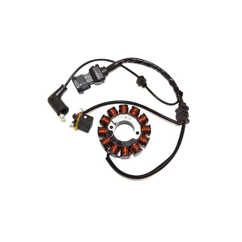 168016_SGR_STATORE_PIAGGIO.JPG Statore piaggio 125 vespa sprint/primavera/946 e4/