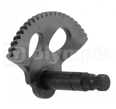 55737_olympia_0_760755_SETTORE.jpg Settore