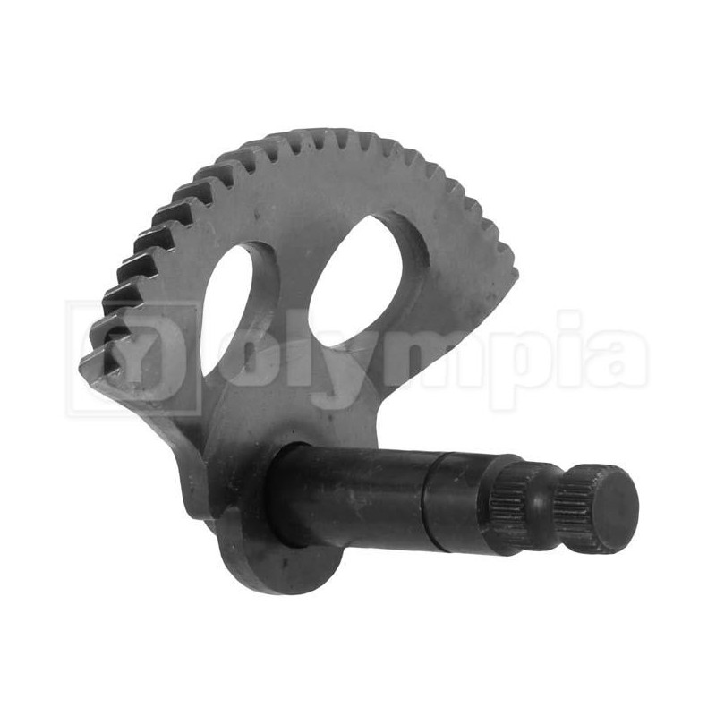 55737_olympia_0_760755_SETTORE.jpg Settore