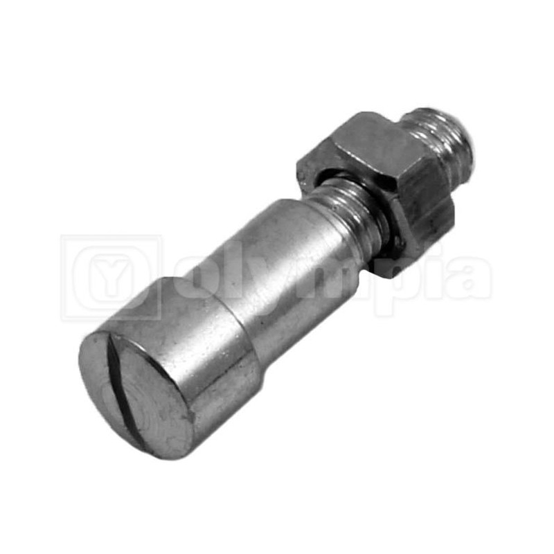 79658_olympia_0_1153863_VITE-7919089735-.jpg Vite fissa leve freno e frizione - vespa - tutti i