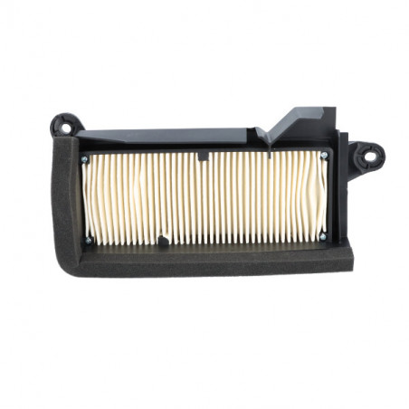 265255_sgr.jpg Filtro aria miw carter sx yamaha t-max 560 22/ 