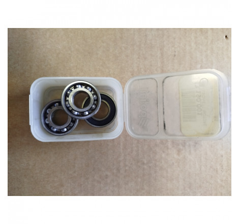 143.190.001_POLINI_1.jpg Cuscinetti motore