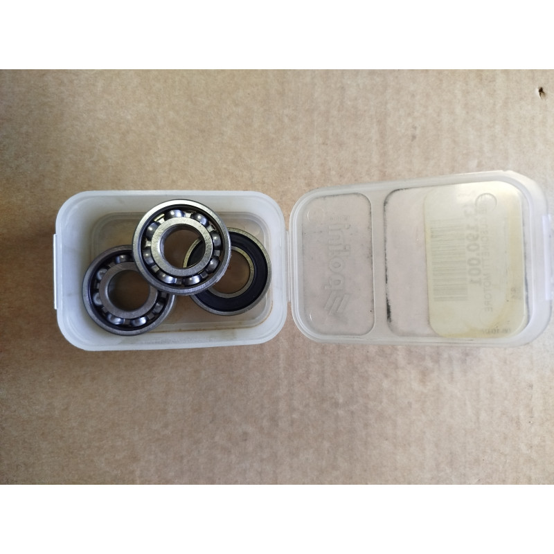 143.190.001_POLINI_1.jpg Cuscinetti motore