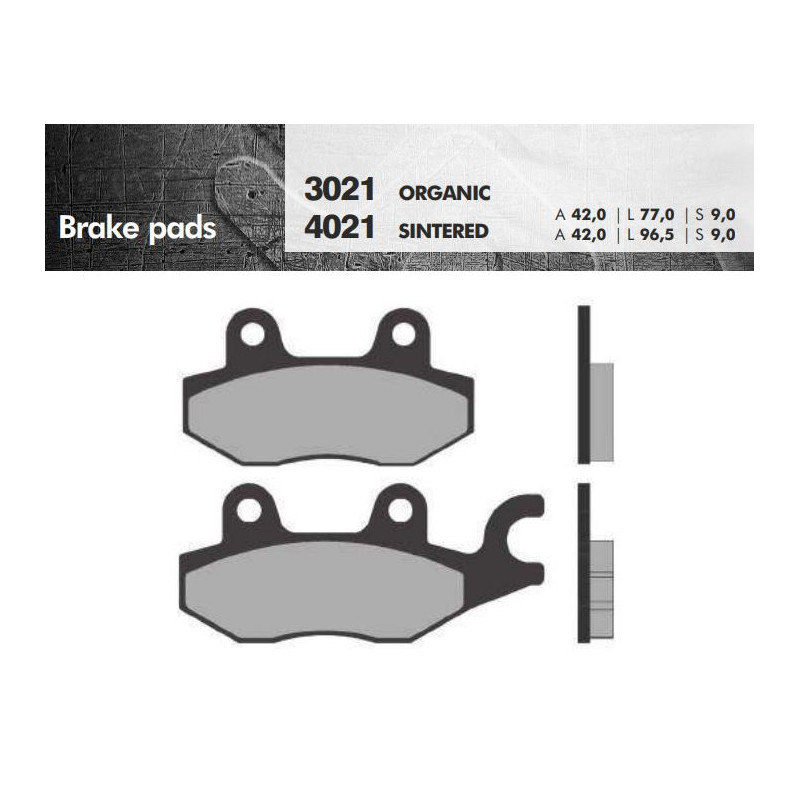 3021_brenta.JPG Pastiglie freno organiche