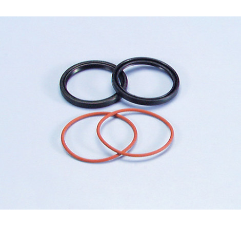 242_033_polini.jpg Paraolio semipuleggia mobile condotta honda