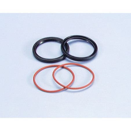 242_033_polini.jpg Paraolio semipuleggia mobile condotta honda