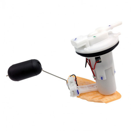 289508_sgr.jpg Pompa benzina completa con sonda - honda sh 125/15