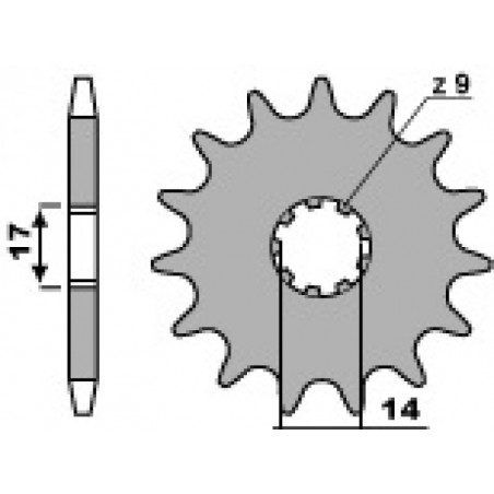 2091318NB_PBR.JPG Pignoni z13 18nc c.415