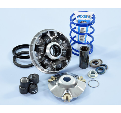 241_750_maxi_POLINI.jpg Variatore hi-speed piaggio evolut.2 14,8